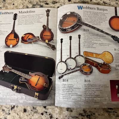 Washburn Catalog Flyer 80s-90s SBF24 SBT21 SBS20 ea20 ea30 Mandolin Banjo Crackle image 4