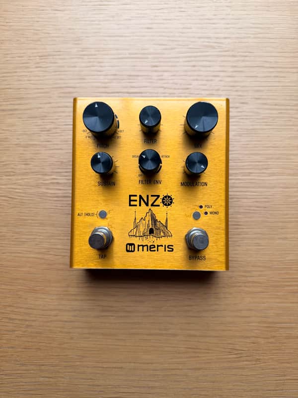 Meris Enzo 2018 - Gold image 1