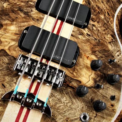 Alembic Stanley Clarke Deluxe - Buckeye Burl image 17