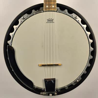 Fender FB-54 5 String Banjo With K&K Pickup and Hard Shell Case image 1