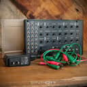 Moog Mavis Monophonic Analog Synthesizer Voice