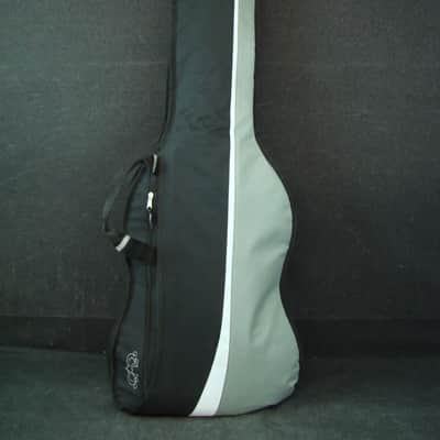 2003 Schecter Diamond Series C-5 5 String Bass C5 W/Bag image 12