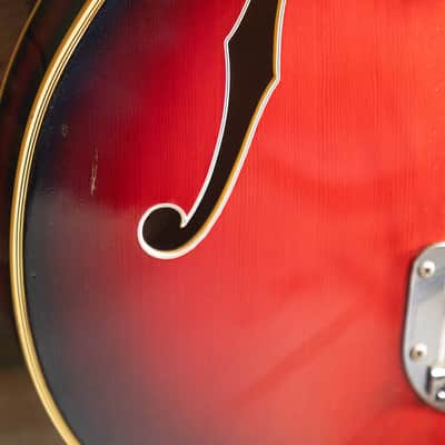 Eston Welson DS-2T Hollowbody - Sunburst image 5