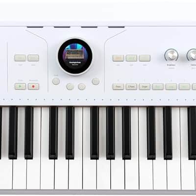 Arturia AstroLab 61-Key Semi-Weighted Stage Keyboard — With 1300 Sounds and Analog Lab Pro Software Included image 1