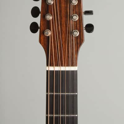 Circle Strings  A-1 10 String Acoustic Flat Top Guitar (2018), ser. #119, original molded white plastic hard shell case. image 5