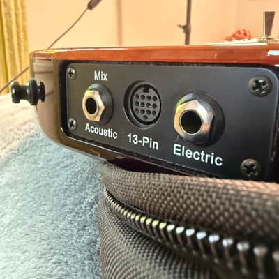 Godin LGXT 2010s - Cognac Burst image 10
