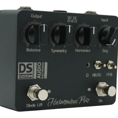 DS Custom Audio Electronics Perc – Modded Harmonic Percolator image 1