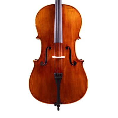 Goffriller Cello 4/4 from One Piece Back - Hand-Made in Romania 2025 #78 image 2