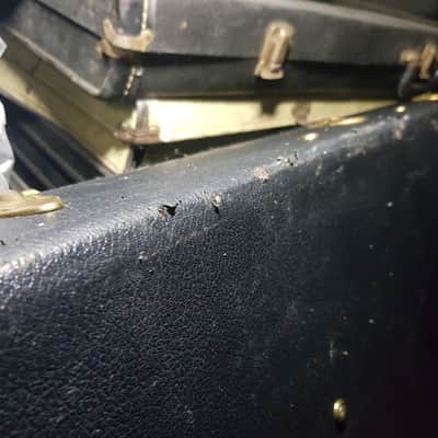 1982 GIBSON EXPLORER E 2 CASE USA image 12