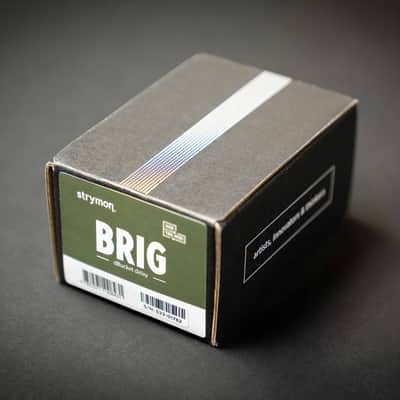 Strymon Brig dBucket Delay image 7