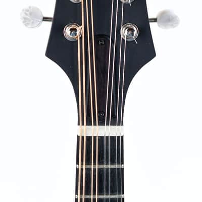 Eastman MD305E Sunburst Bild 2