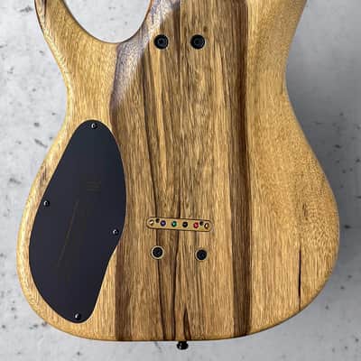Mayones Duvell Elite 6 Master Grade Buckeye Burl Thin Black Burst image 5