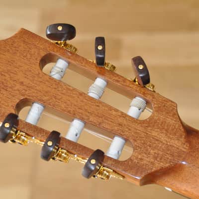 KREMONA Fiesta F65CW-SB / Performer Series / Crossover Nylon Electro / Made In Europe  / 10-063-13-06 image 15