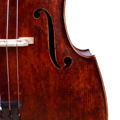 Gamba Doublebass 1/2 Hand-Made in Europe #12 image 4