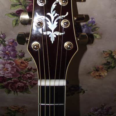 COPLEY CA-50 Acoustic Guitar image 10