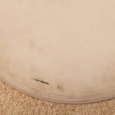 Vintage Rogers 16" Coated Script Logo Head image 2