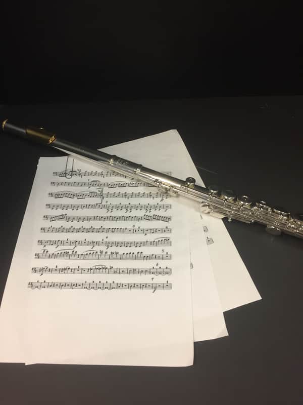 Armstrong LE 100 Flute image 1