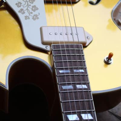 STANFORD "Fatboy Golden 95" HARDCASE, 3, 18 KG, Scotty Moore is Alive! image 4