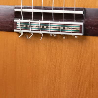 Jose Marques Tradicional Classical Guitar - Brazilian Rosewood with Hardshell Case image 17