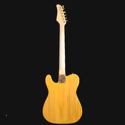 Southwest Acoustics Telecaster/Lightweight-Heavyweight Gold Hardware/Fully Set up image 6