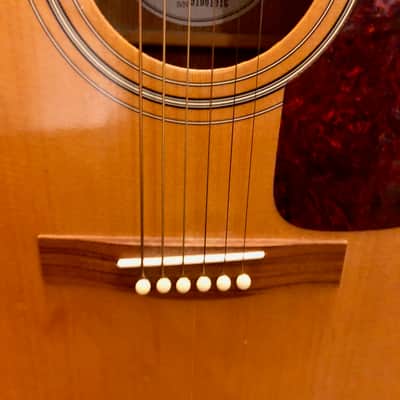 Fender DG-7 Acoustic Guitar With Vintage Wood Case, Capo, and Strap image 4