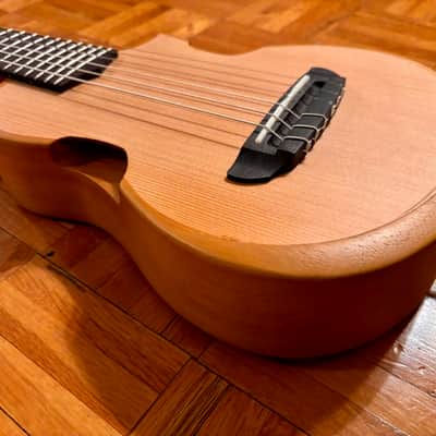 Ibanez AUP10N-OPN Tenor Ukulele 2024 - Present - Open Pore Natural image 7