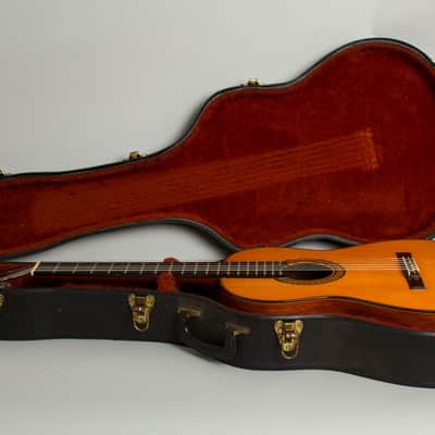 Del Pilar Classical Guitar (1980), black hard shell case. image 10
