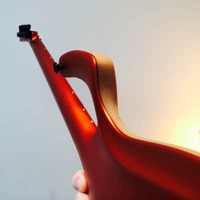 Parker Fly Artist, Custom (Odin) image 12
