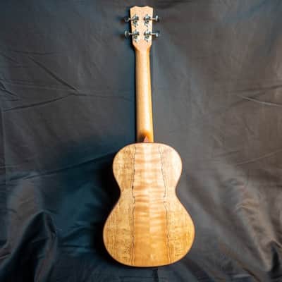 Cordoba 24T cedar top spalted maple tenor ukulele image 13