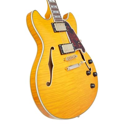 D'Angelico DAEDCVNATGS EXCEL DC Double Cutaway Semi-Hollow Body 6-String Electric Guitar w/Deluxe Hardshell Case image 2