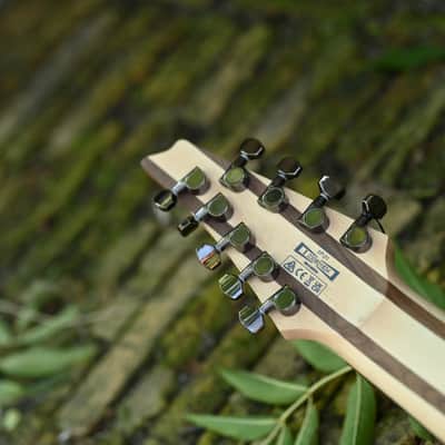 Ibanez RG9PBTGF - Transparent Gray Flat image 13