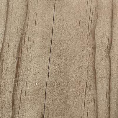 Fender American Professional II Telecaster guitar body image 2