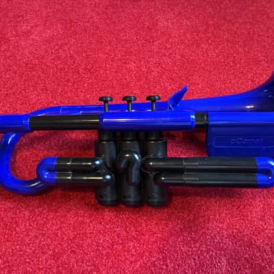 PCornet Cornet 2023 - blue image 2