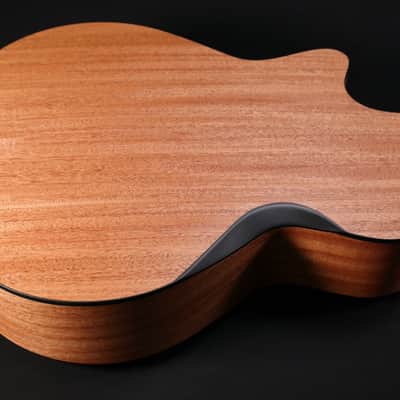Furch Blue Deluxe Gc-CM 12 Cutaway 12 string, Bevel Duo image 7