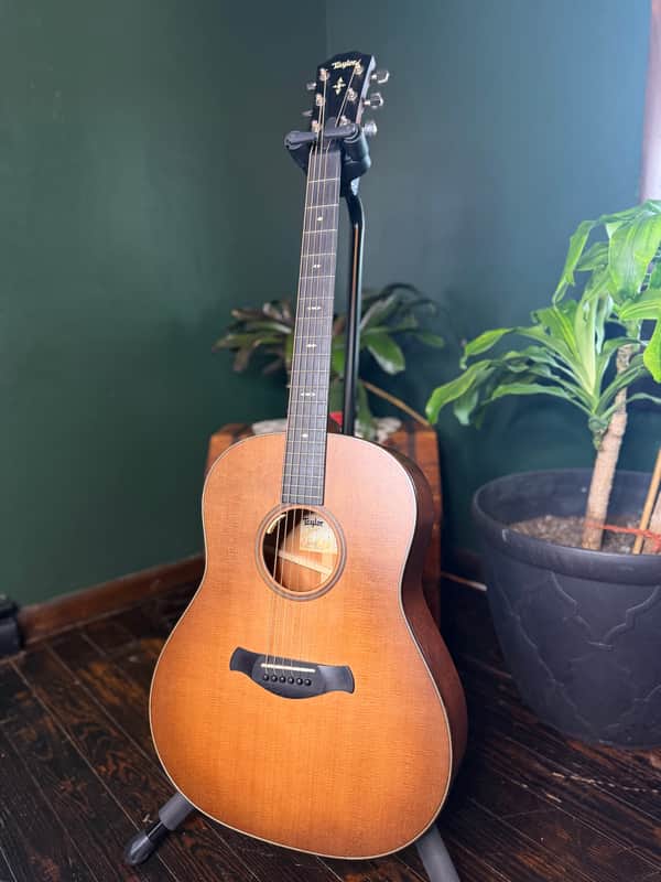 Taylor Builder's Edition 517 WHB