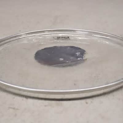 Ludwig 14" Striders Clear Silver Dot Drum Head Vintage #2 image 7