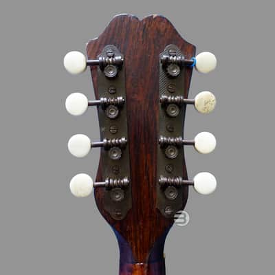 G. Puglisi Reale & Figli - Neapolitan Mandolin - Catania, | Reverb