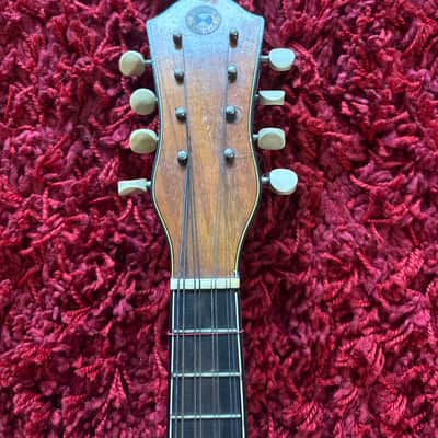 Osborn Sammos Mandolin Osborn sammos 1920 image 3