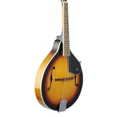 Washburn M1 Mandolin Pack with Gigbag image 8