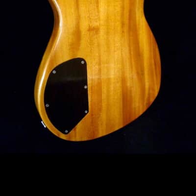 Blueberry Guitar Handmade Electric Guitar Tiger Motif 2022 - Hand Carved & Hand Made image 7