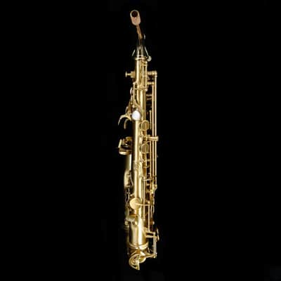 Selmer AS42M Professional Eb Alto Saxophone, Matte Finish image 4
