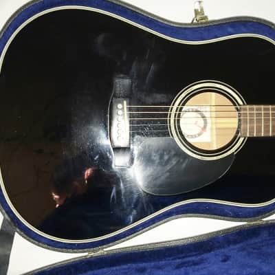 Alvarez 5019 AV Midnight special electric/ acoustic with Nice Hard Case image 2