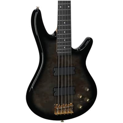 Ibanez GSR205PC Gio Electric Bass, 5-String, Transparent Pale Black Burst image 1