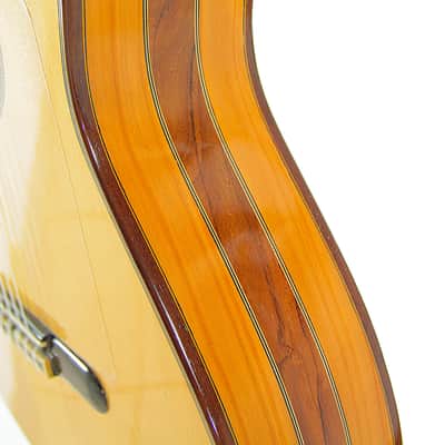 Luis Sanchez 2020  Blanca - spectacular sounding and nice looking flamenco guitar - check video! image 11