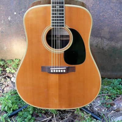 Tokai Cat's Eyes CE500 1979 Natural Japan Vintage D28 Copy image 6