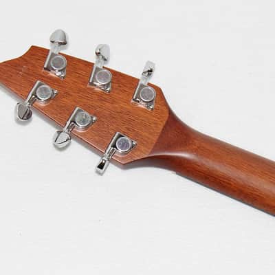 Breedlove Passport C250/CMe Acoustic-Electric Guitar image 7