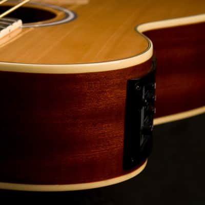 Washburn AB5K Spruce Top Mahogany Neck 4-String Acoustic Bass Guitar w/Gig Bag image 6
