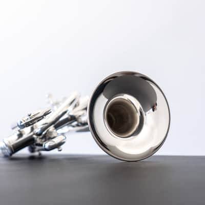 Yamaha YTR-6810S Bb/A Piccolo Trumpet (SN C991xx) image 10