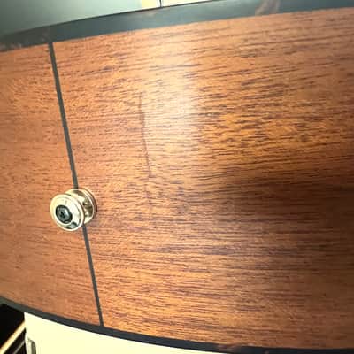 Furch Green Baritone BARc-SM with bag image 9