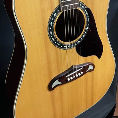 Kiso-Suzuki WOS-260 BB Dreadnought Acoustic Guitar Gloss | Reverb